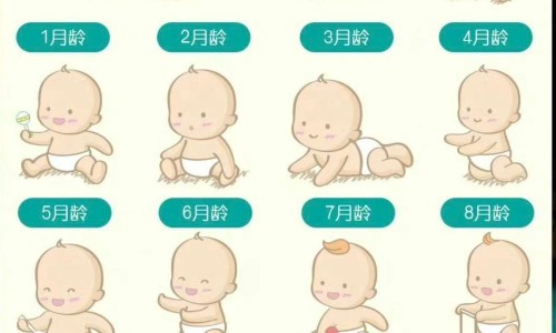婴儿可以吃橙子吗？