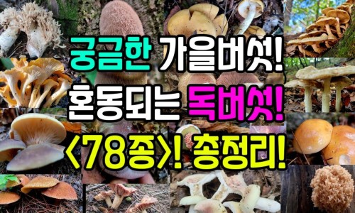 雷呗拉挫纳肠溶片什么时候服用-雷呗拉唑钠肠溶胶囊吃多长时间专区_雷呗拉唑钠肠溶片一次吃几片专区_雷呗拉挫纳肠溶胶囊副作用网