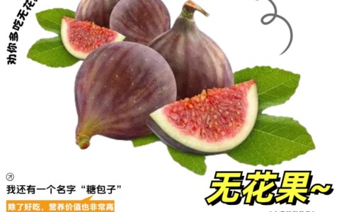 雷呗拉唑肠溶片的功效-雷呗拉唑钠肠溶胶囊吃多长时间专区_雷呗拉唑钠肠溶片一次吃几片专区_雷呗拉挫纳肠溶胶囊副作用网